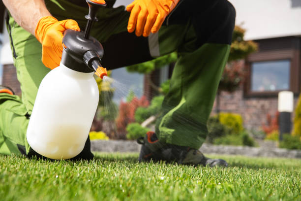 Best Pest Removal Services  in Woodbury, TN