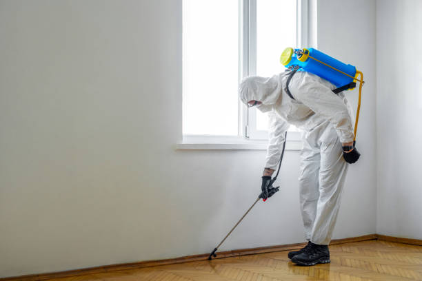 Best Cockroach Control Services  in Woodbury, TN