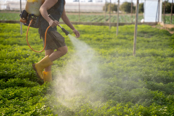 Reliable Woodbury, TN Pest Control Solutions
