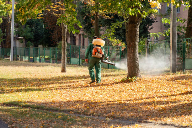 Flea Control Services in Woodbury, TN