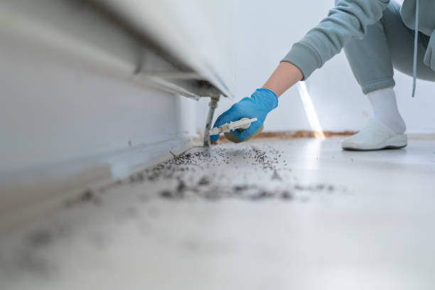 Best Pest Prevention Services  in Woodbury, TN